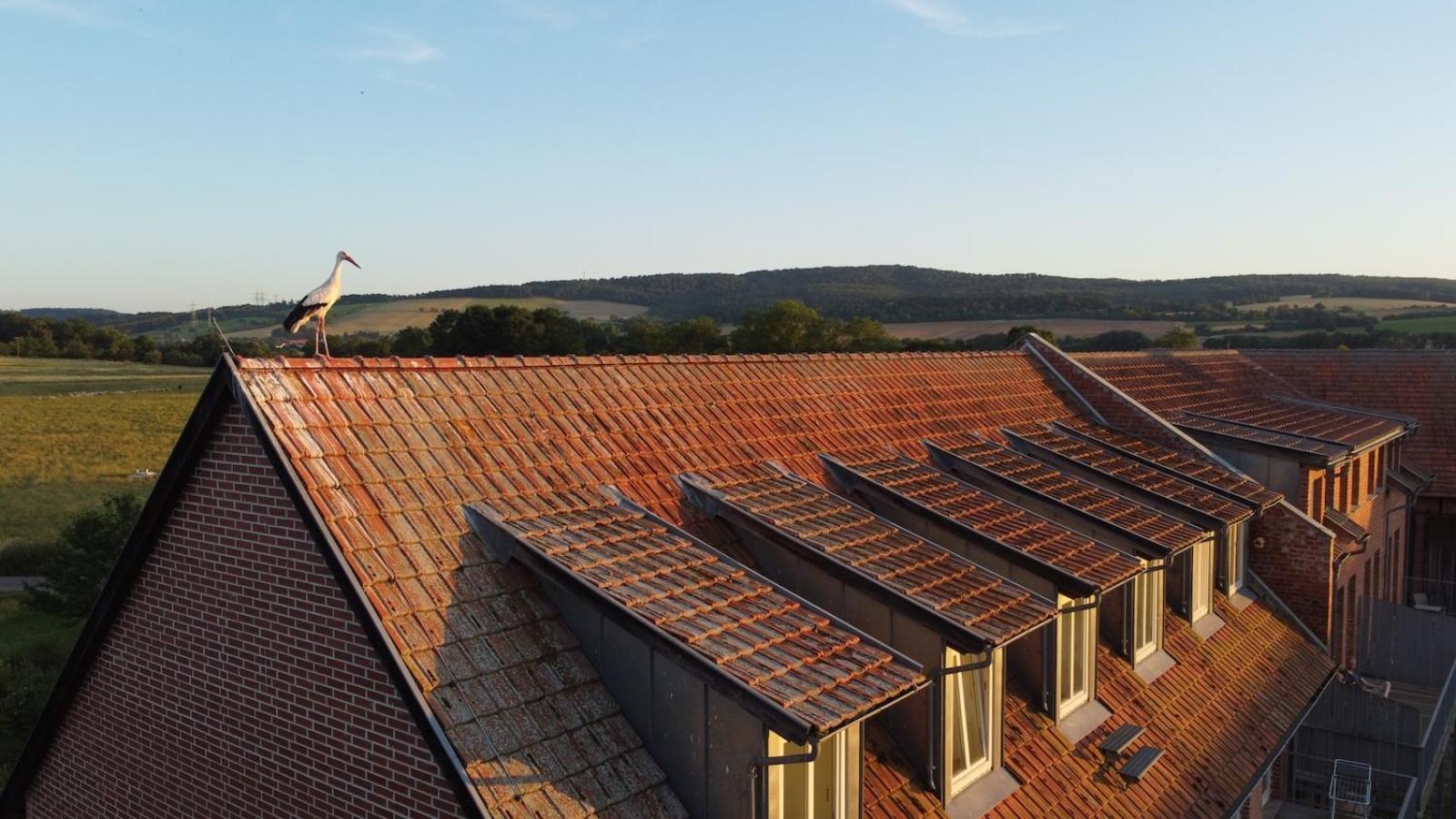 Biohotel Stiftsgut Wilhelmsgluecksbrunn Creuzburg Dış mekan fotoğraf